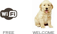 free-wifi-dogs-allowed